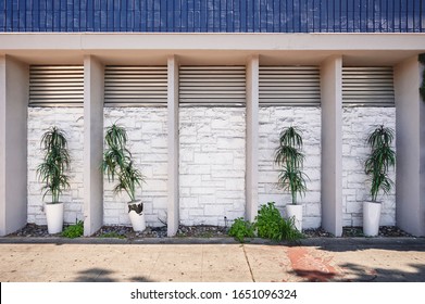 A Mid Century Modern Building Exterior With Potted Plants