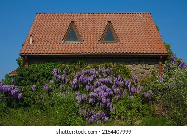 Mid Century Modern Bungalow House Exterior. House And Garden. Springtime Season. Summer Time. Plants Growing Outside House Against Sky. Brown Tile Roof. Side Wive.