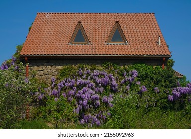 Mid Century Modern Bungalow House Exterior. House And Garden. Springtime Season. Summer Time. Plants Growing Outside House Against Sky. Brown Tile Roof. Side Wive.