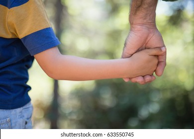 Mid section of boy holding fathers hand in forest