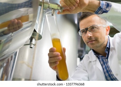 mid section of brewer testing beer at brewery factory - Powered by Shutterstock