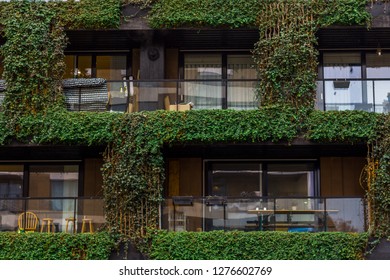 A mid shot of a block of flats with blaconies and green plants growing on the facade, an example of green ecological living