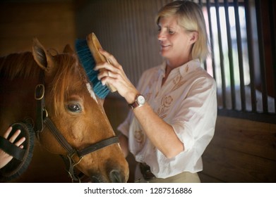 Mid-adult Woman Grooming A Horse In A Stall.