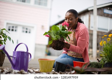 Mid-adult Woman Tending To Her Garden Outside Her Home.