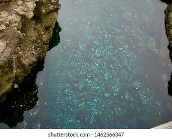 Mid-Atlantic Ridge Tectonic Plates In Iceland