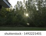 Mid-day Sun between Tree line