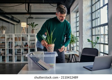 Middle age businessman return to work and setting up the table, taking out items from plastic box