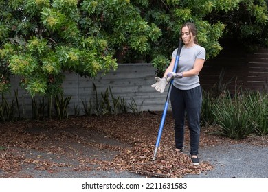 Middle Age Caucasian Woman Standing In The Yard, Holding A Rake, Putting Work Gloves On. 