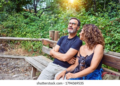 Middle Age Couple Smiling Happy Looking At The Sky. Sitting On The Bench With Chihuahua Dog At Park