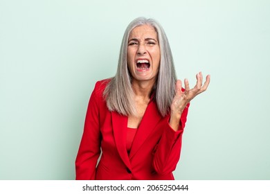 Middle Age Gray Hair Woman Looking Angry, Annoyed And Frustrated. Senior Businesswoman Concept