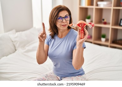 Middle Age Hispanic Woman Holding Anatomical Model Of Female Genital Organ Surprised With An Idea Or Question Pointing Finger With Happy Face, Number One 