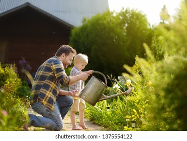 Middle Age Man And His Little Son Watering Flowers In The Garden At Summer Sunny Day. Gardening Activity With Little Kid And Family