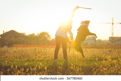 Middle age woman playing with her border collie dog in a field during an autumn day. Dog trying to catch the stick and having fun with mommy