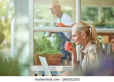 Middle Aged Caucasian Business Woman At Computer