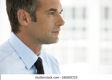 Middle Aged Corporate Business Executive Man - Profile - Close Up