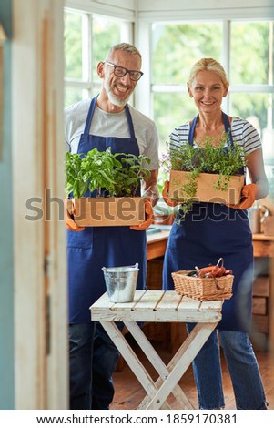 Middle aged couple with growing plants in greenhouse