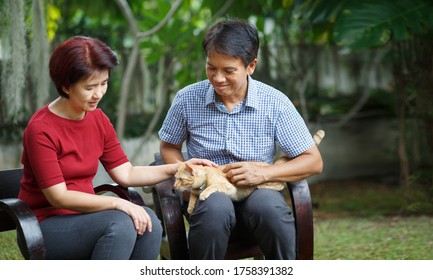 Middle Aged Couple Relax Sitting On Bench With Cat  In Backyard.