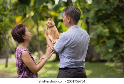 Middle Aged Couple Relaxing With Cat  In Backyard.