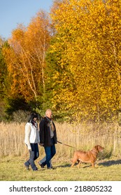 Middle Aged Couple Walking Retriever Dog In Sunny Autumn Countryside