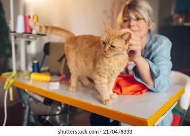 Middle Aged Female Fashion Designer Using Sewing Machine And Making A New Handmade Suit While Working At Home And Petting Her Pet Cat. Hobby Sewing As A Small Business Concept. Focus On A Pet Cat.