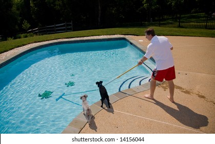 Middle aged man brushing swimming pool closely watched by two small dogs - Powered by Shutterstock