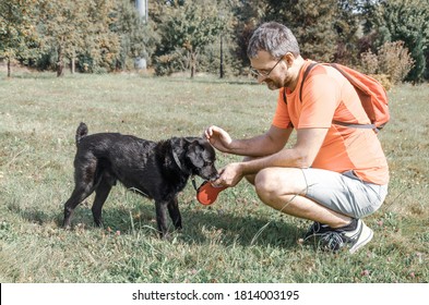 A Middle Aged Man Crouching To Stroke His Dog While Walking Outdoors