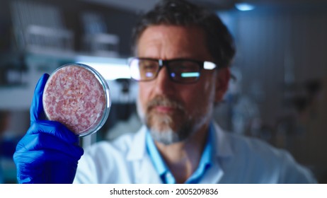 Middle aged man examining Petri dish with lab grown meat