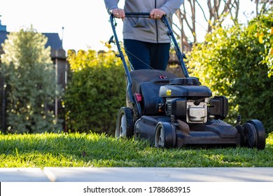 Middle Aged Man Mowing The Lawn With A Self-propelled Lawn Mower On A Sunny Winter Afternoon. San Mateo, California