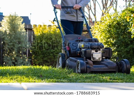 Middle Aged man mowing the lawn with a self-propelled lawn mower on a sunny winter afternoon. San Mateo, California