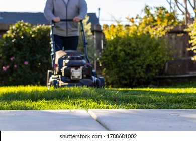 Middle Aged Man Mowing The Overgrown Lawn With A Self-propelled Lawn Mower On A Sunny Winter Afternoon. San Mateo, California