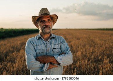 middle aged man on wheat field outdoor - Powered by Shutterstock