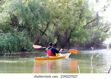 Middle Aged Man Paddle Yellow Kayak Near Green Trees At Spring