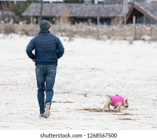 Middle Aged Man Walks On Beach With Dog (pug) On A Cold Winter Morning, Cape May, New Jersey, USA On December 9, 2018.