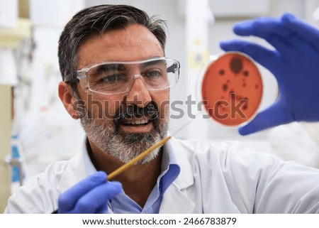 Middle aged professional scientific examining a petri dish with salmonella in microbiology laboratory. Scientific research.