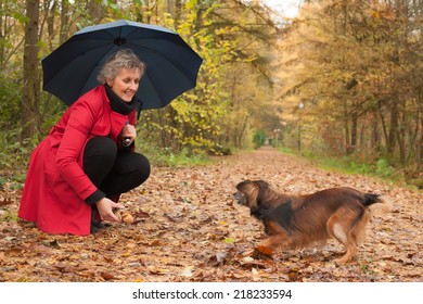 Middle Aged Woman In The Autumn Forest With Her Dog