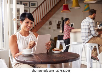 Middle Aged Woman In A Cafe