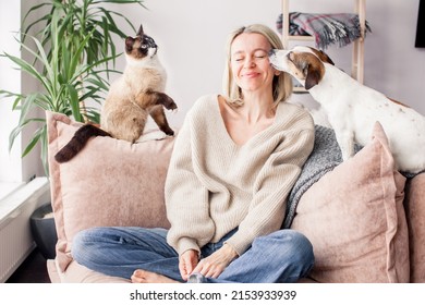 Middle aged woman enjoys spending time at home and her pets  Dog licks owner's cheek and his tongue  cat sitting couch
