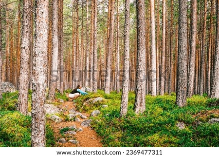 A middle aged woman picking blue berries in a magical forest in Norway, Scandinavia