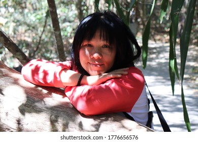 ็Happy Middle Aged Woman Relaxing On The Timber In The Forest.Close Up Face Of On Sunlight Shining Face Woman Smiling And Looking At Camera.