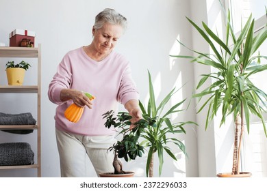 Middle aged woman sprays plants in flowerpots. Happy senior female caring for house plant. Elderly Woman taking care of plants at her home, spraying a plant with pure water from a spray bottle - Powered by Shutterstock