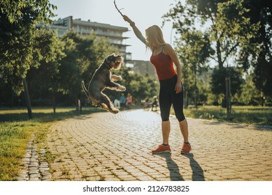 Middle Aged Woman Walking Her Dog In The Park And Playing Catch While Using Wooden Stick