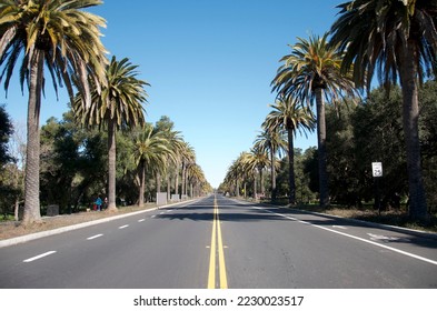 Middle of the California road, captured just outside the Stanford Campus.