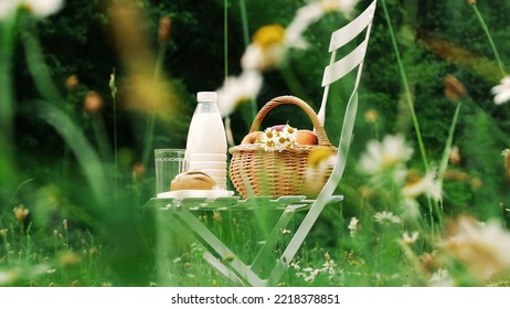 In The Middle Of A Chamomile Lawn, On A White Chair Is A Bottle Of Milk, A Basket Of Apples And Bread. High Quality Photo