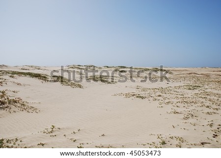 Similar – Wide beach Maritime