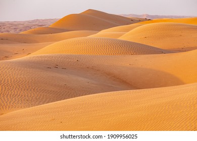 Middle East, Arabian Peninsula, Oman, Ash Sharqiyah North, Bidya. Sand Dunes In The Desert Of Oman.