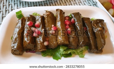 Middle Eastern dolma stuffed grape leaves garnished with pomegranate seeds on white plate.