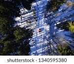In the middle of forest