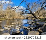 The Middle Fork of Beargrass Creek in Cherokee Park, Louisville, Kentucky, in winter. Limestone and shale rocks visible.