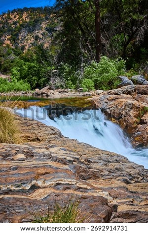 Middle Fork Kaweah River Cascade Rocky Stream and Lush Forest Sequoia National Park
