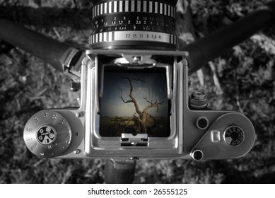 Middle format camera set up for landscape shoot, black & white with color in view-finder
